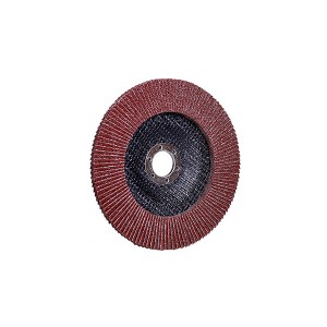 T27 Aluminium Oxide Flap Disc 100*16mm Abrasive Tools For Metal Polishing And Grinding